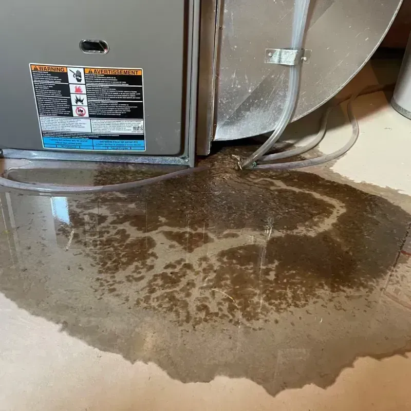 Appliance Leak Cleanup in Galesburg, IL